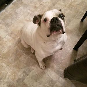 Meet your Posher, Shelly